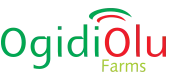 Blog | Ogidi Olu Farms